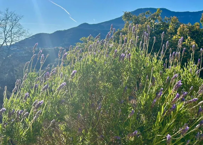 Des Ciappes Et Des Fees ホームステイ