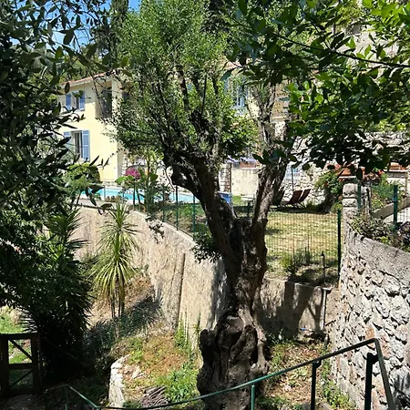 Des Ciappes Et Des Fees マントン