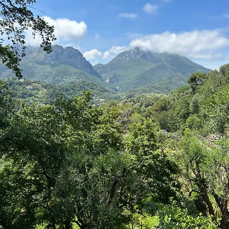 Des Ciappes Et Des Fees *