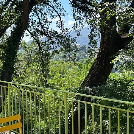 Des Ciappes Et Des Fées